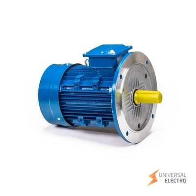 Электрический двигатель 5АИ 100 L2 5.5/3000 IM 3081