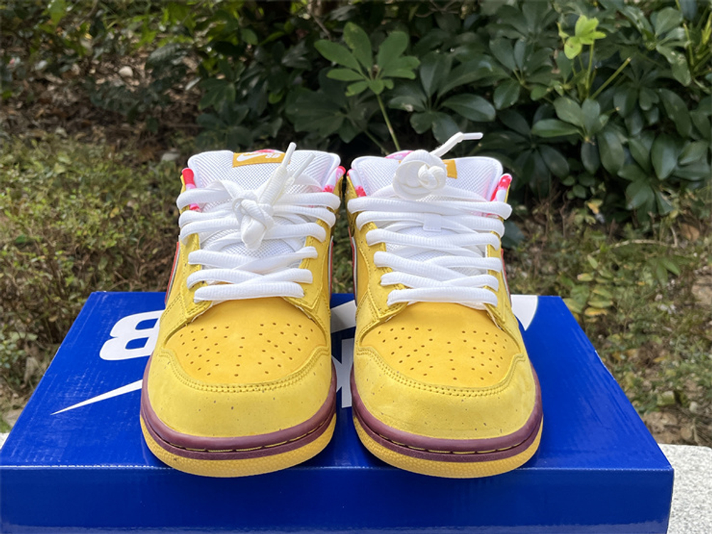 Nike SB Dunk Low 313170-137566