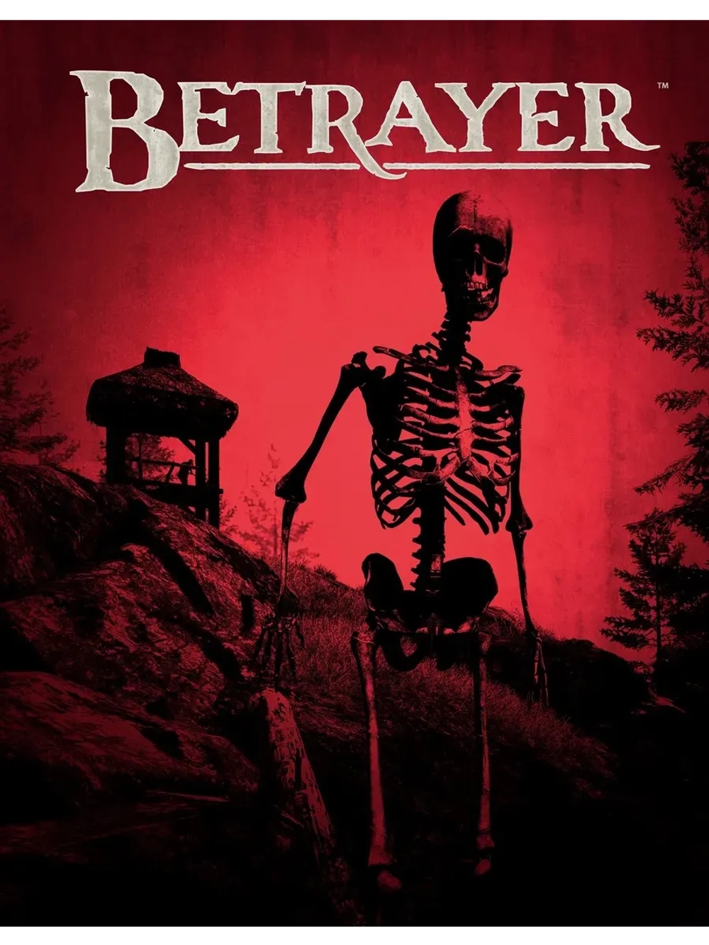 Betrayer, игра для ПК (на флешке USB)