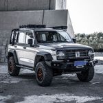 Боковая лестница для Tank 300
