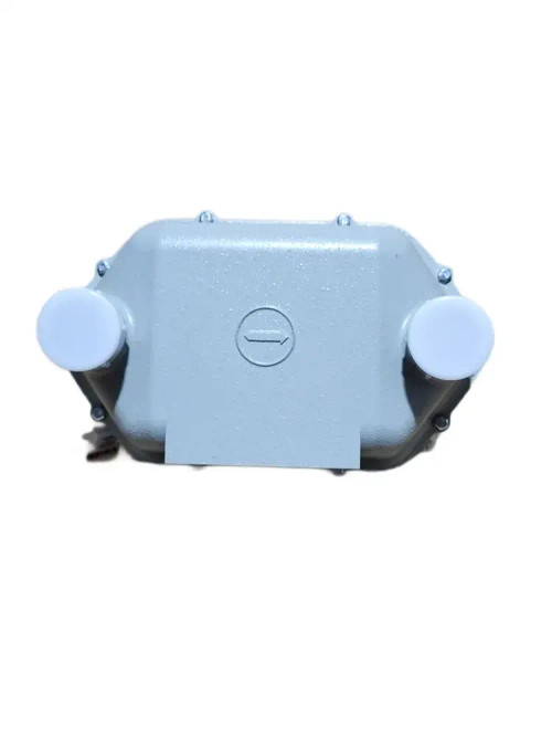 БелОМО СГМН G6 газовый счетчик левый 200 мм (2-й квартал 2025г, ПРОКЛАДКИ В КОМПЛЕКТЕ).