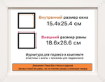 Рама 15x25 для картин и фотографий RP0082305-07(TD1)