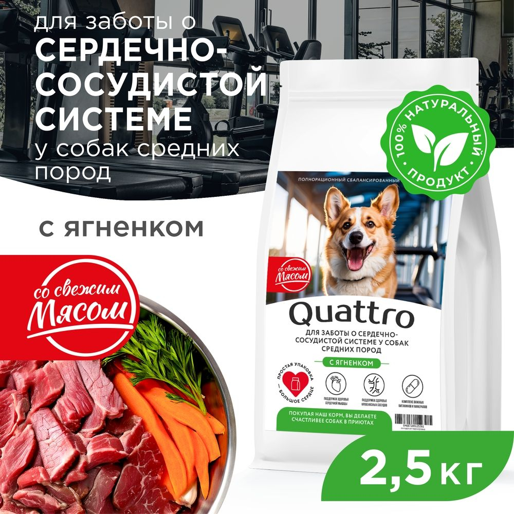 Корм сухой для взрослых собак средних пород, премиум полнорационный комплекс, для сердечно-сосудистой системы, с ягненком, 2,5 кг, QUATTRO