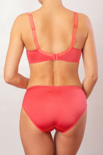 1109 бюстгальтер "Коралл"