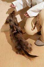 Поводок-перестежка "Пони-Компаньони" Mini, рыжий 300 см