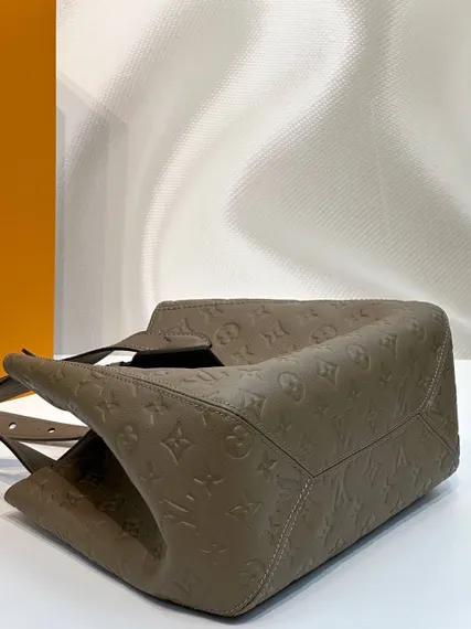 Сумка Louis Vuitton All In One PM