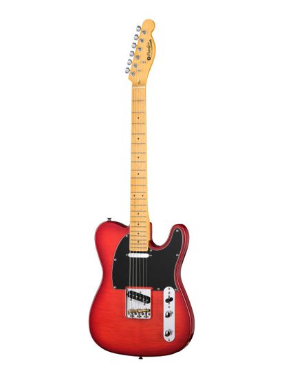 Электрогитара Prodipe JMFTC90ALDERTRD