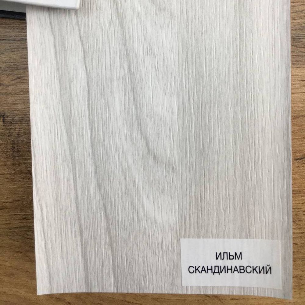Ильм скандинавский