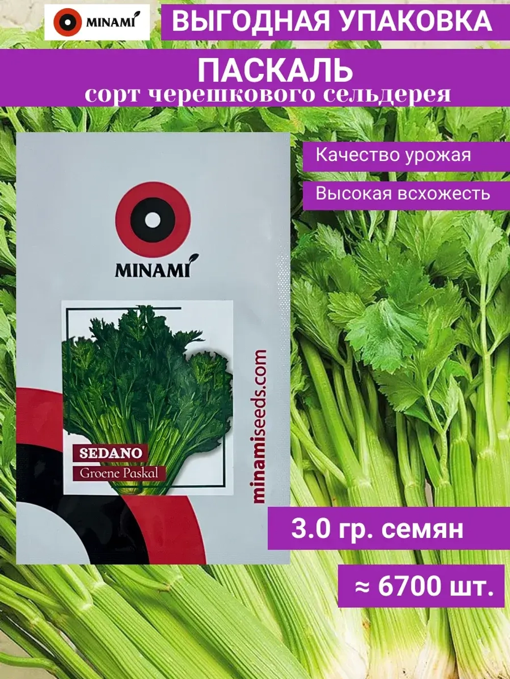 Сельдерей черешковый Паскаль 3,0гр (6700шт.)
