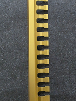 АЛТПг 8мм "DO-1" 2,7м Золото мат. окантов. гиб. анод. алюм.