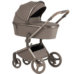 Детская коляска Anex Flo 2 в 1 Yuki