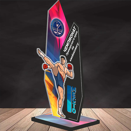 Акриловый приз Кикбоксинг 3533-220