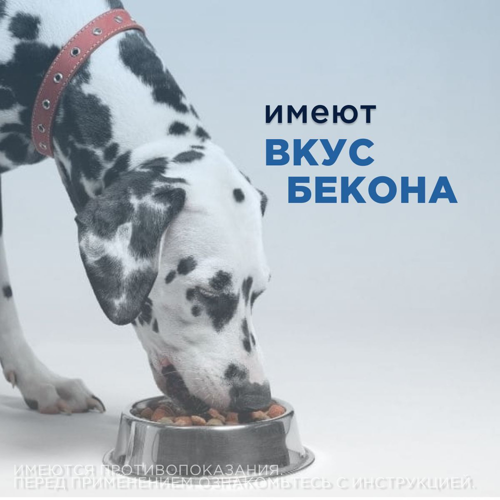 Таблетки для лечения сердечной недостаточности у собак Авекардит 5мг VIC, 28 таблеток Пимобендан