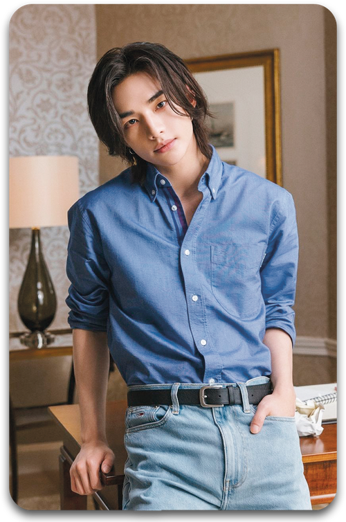 Карта / STRAY KIDS #1342