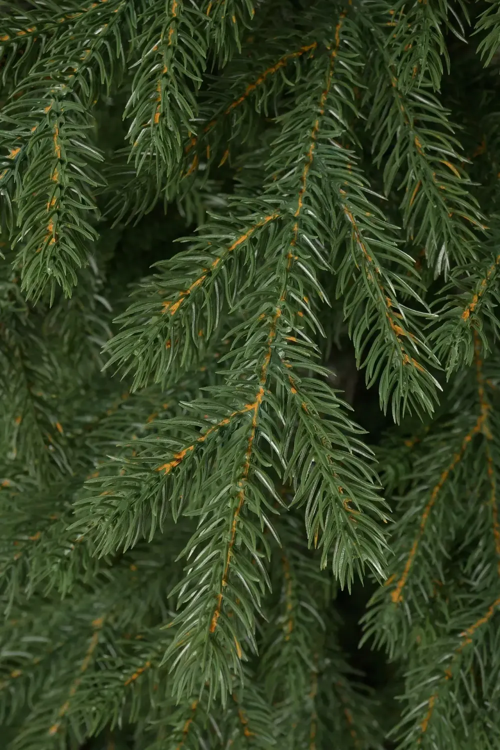 Ель искусственная "Волжская" (Литая хвоя) от 1,2 м до 2,1 м