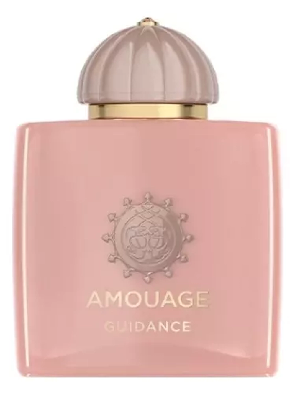 AMOUAGE Guidance