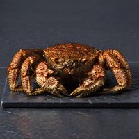 Краб Волосатик
