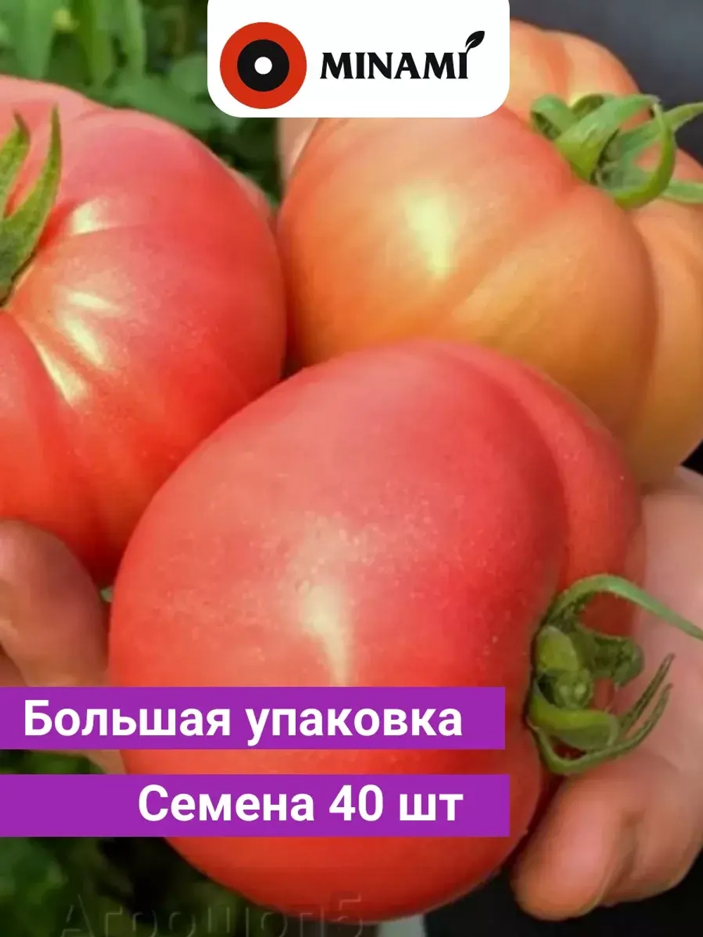 Томат Рози F1 розовый