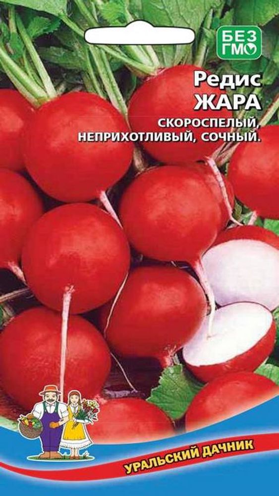 Редис &quot;G. Жара&quot; 2г., Россия.