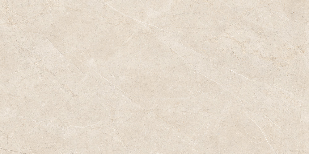 60x120 MoonLight Греж Матовый R10A Ректификат
