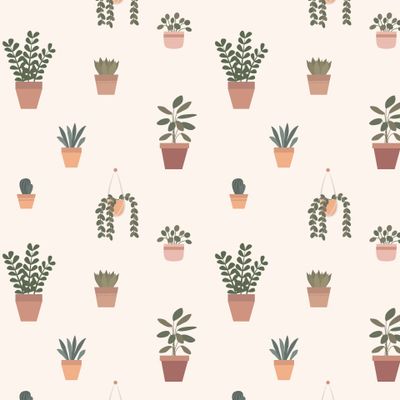 Комнатные растения. House plants, potted plants.
