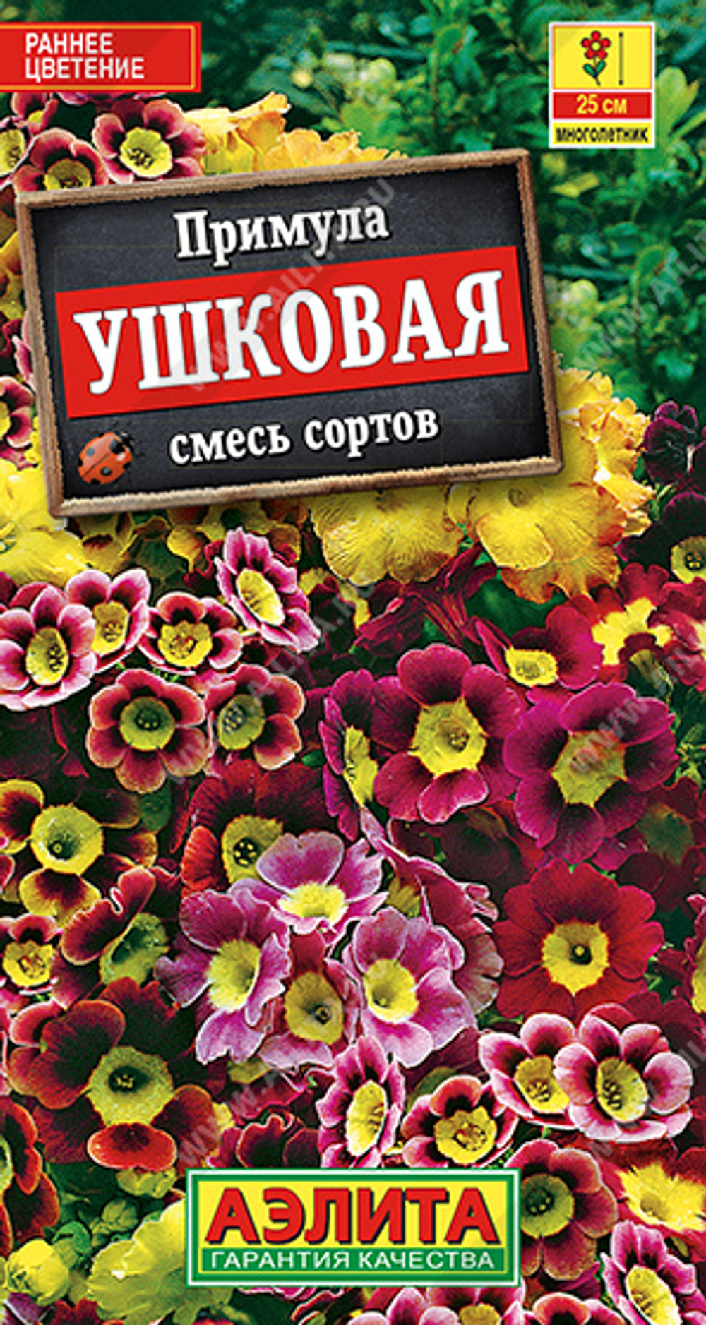 Примула ушковая, смесь сортов