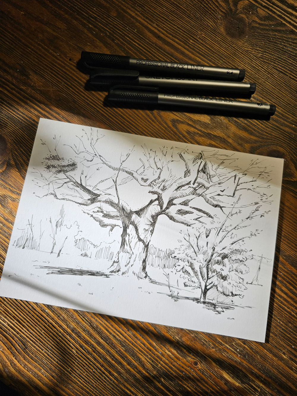 Картина, графика в паспарту 21х30 см на стену для интерьера "Дуб"