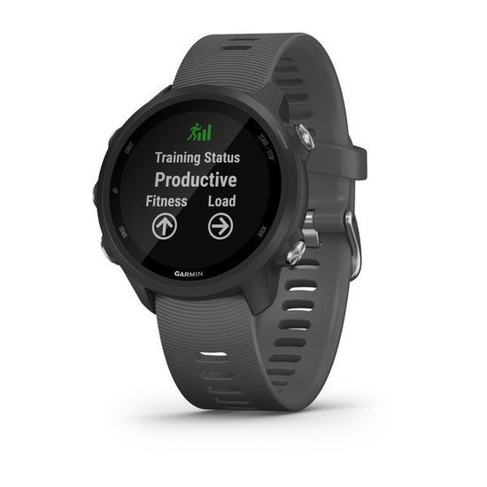 Часы для бега Garmin Forerunner 245 черный с серым ремешком (010-02120-10)