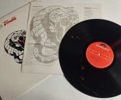 Винтажная виниловая пластинка LP Whitesnake Trouble (Japan 1979) (No Obi) Love To Keep You Warm