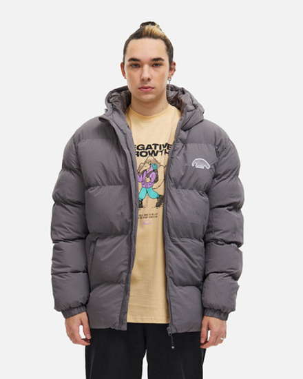 Куртка Anteater Downjacket-HoodedCrispy-Grey