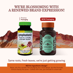 Herbs Etc., Lymphatonic™, 60 капсул