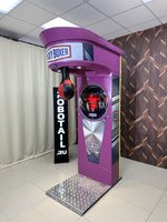 Силомер боксер «Rocky Boxer» Standart