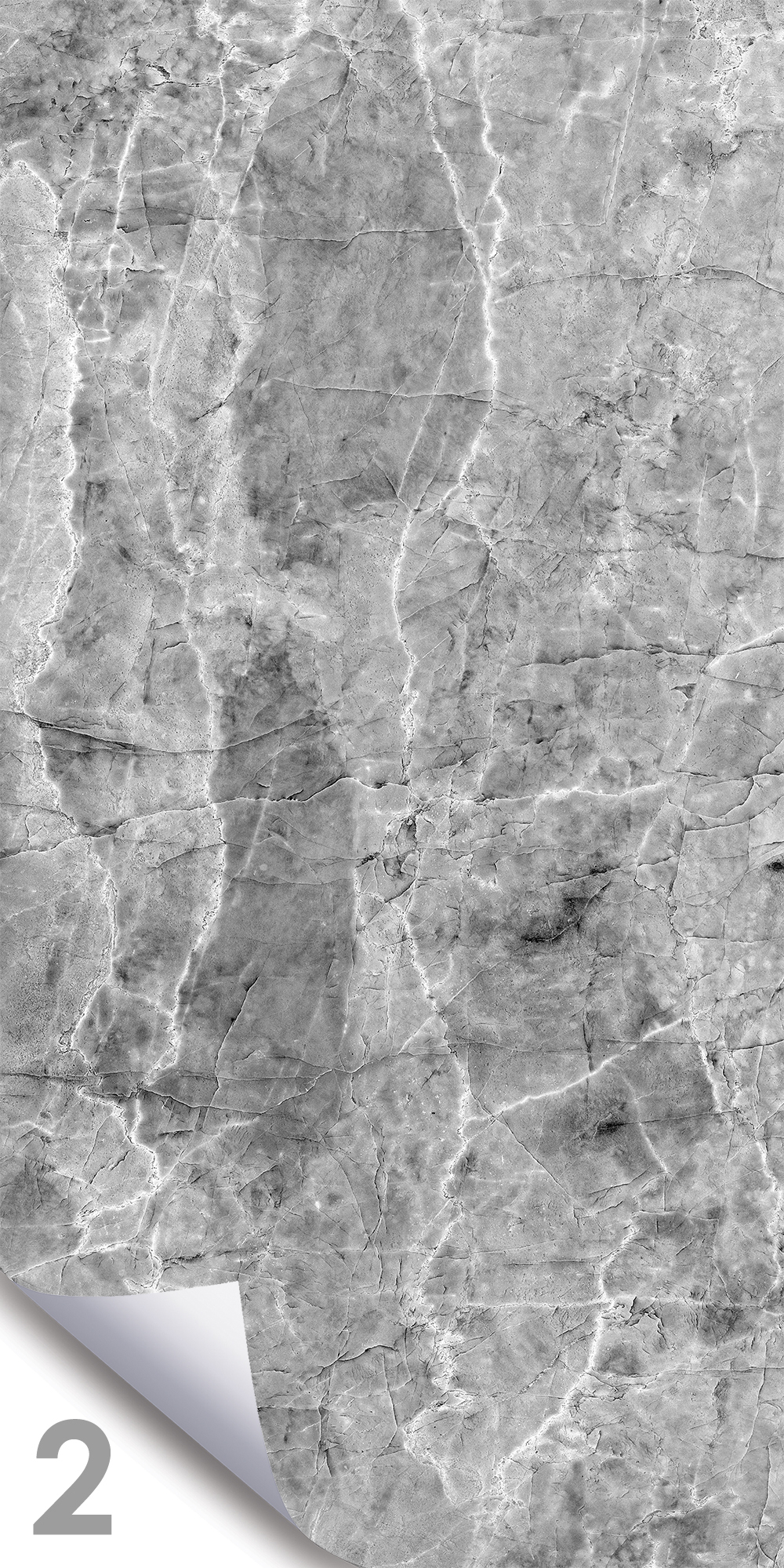 Шерл Сильвер