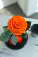 Роза в колбе 27см Premium бутон 11см оранжевая