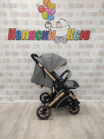 Коляска прогулочная Rant Basic Vortex Grey