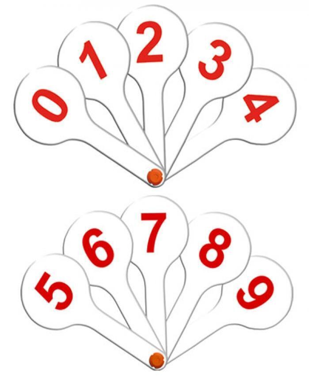 Касса веер цифры от 0 до 9 (Стамм)