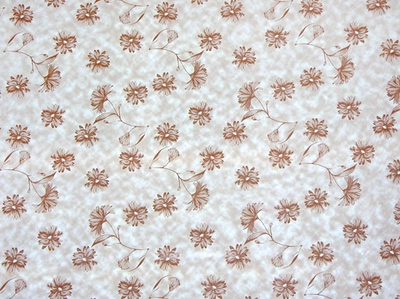 Клеенка столовая на ткани 25м Дуэт 125см, 168/10