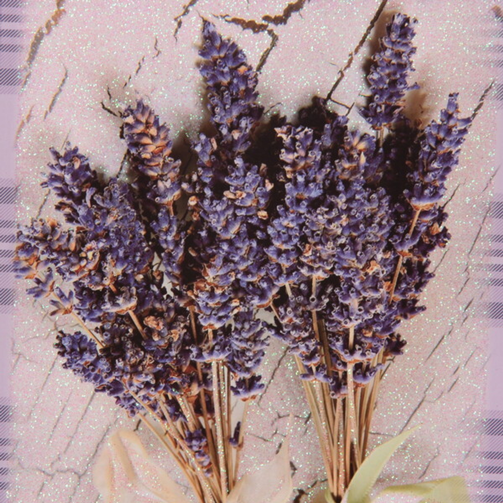 Пакет подарочный «Лавандовые сны» 32*26*12 см