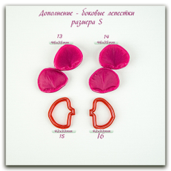 Орхидея фаленопсис M (+боковые лепестки размера S)