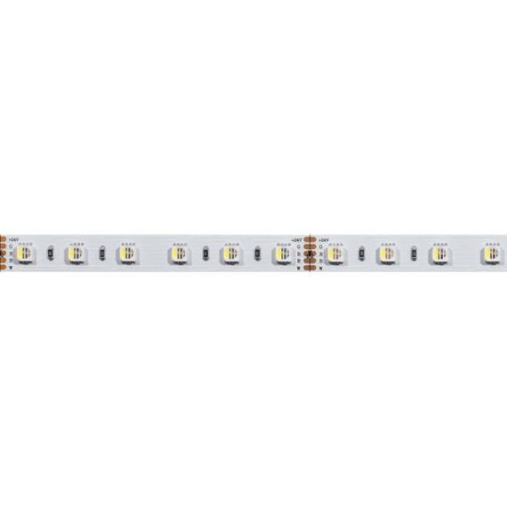 Светодиодная лента Arlight 19,2W/m 60LED/m 5060SMD разноцветный/холодный белый 5M 019096(2)