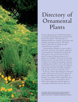Practical Guide to Pruning, Training and Topiary