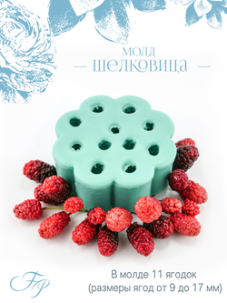Молд Шелковица