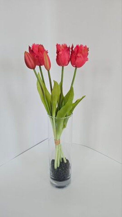 Тюльпаны бахромчатые / Арт 2547