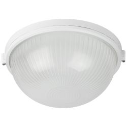 Светильник ЭРА НБП 03-100-001 Акватермо алюминий/стекло IP54 E27 max 100Вт D240 круг белый