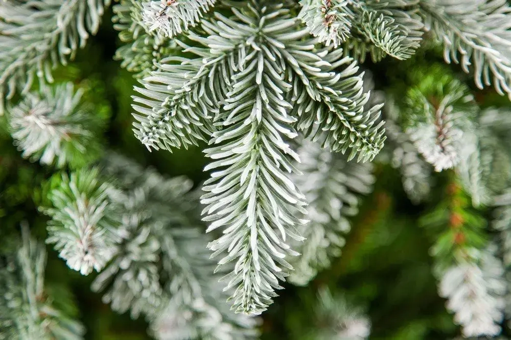 Елка Нормандия пушистая заснеженная 230 см., литая хвоя+пвх, Triumph Tree (73564)