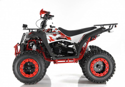 Квадроцикл WELS EVO X2