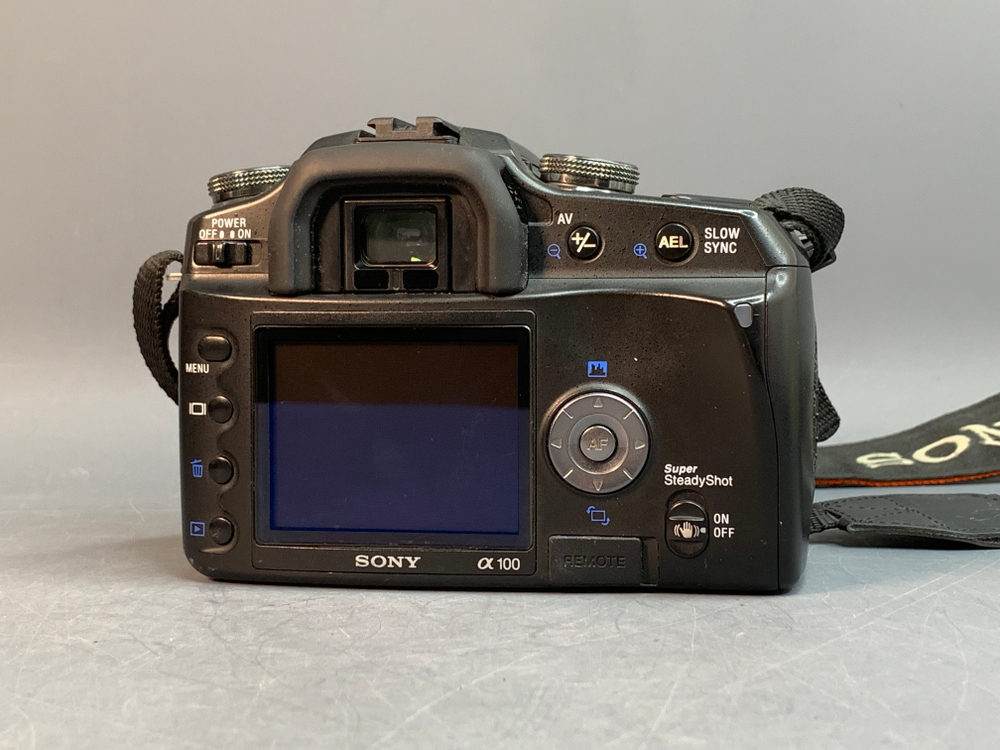 Sony A100