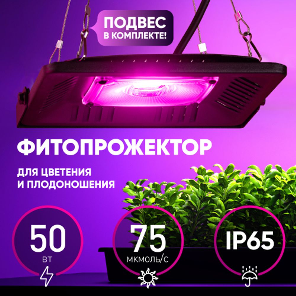 Фитопрожектор для растений светодиодный ЭРА FITO-50W-LED-BLUERED для цветения и плодоношения 50Вт красно-синего спектра