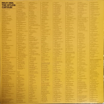 Billy Joel / The Nylon Curtain (LP)