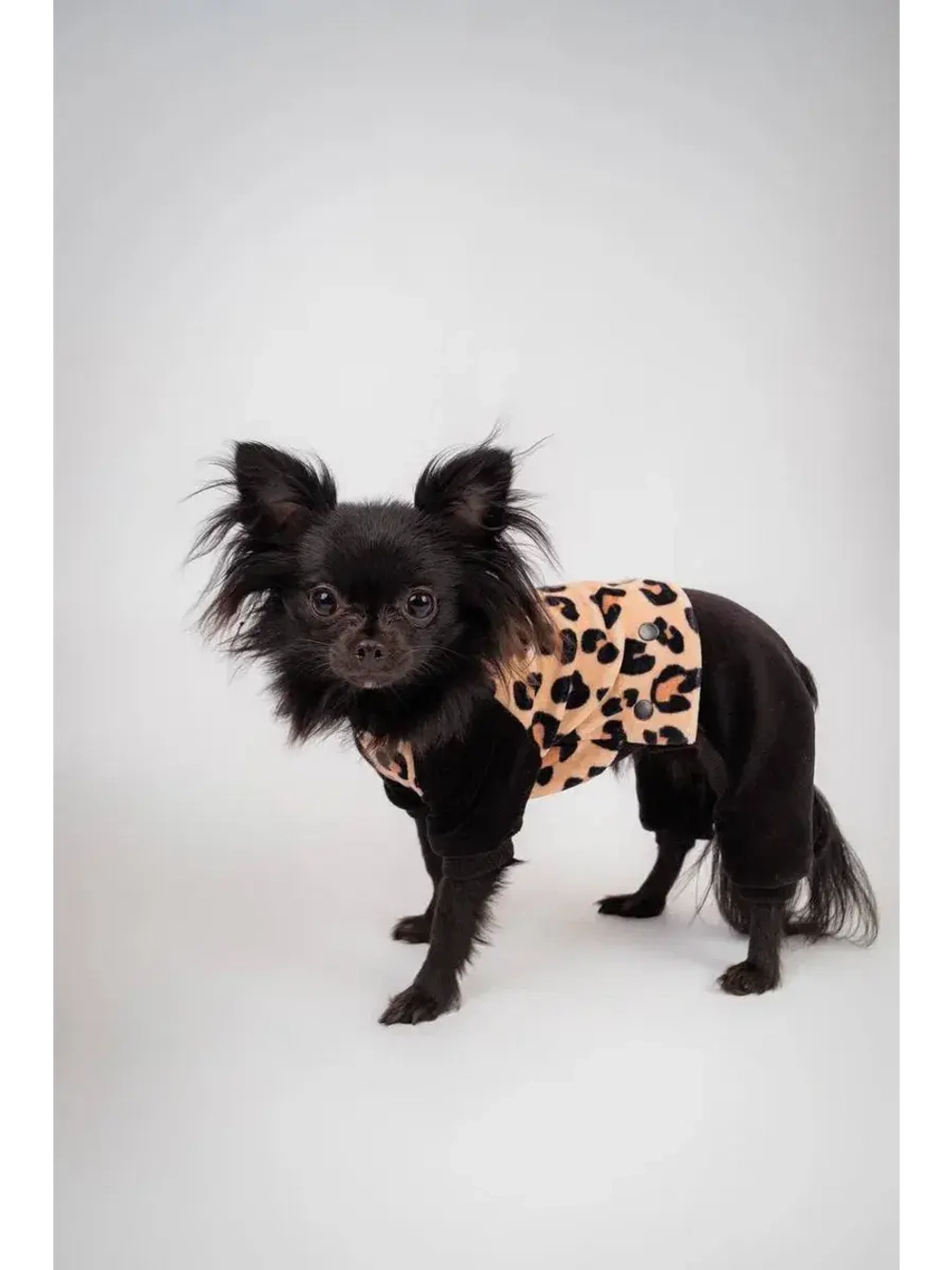 Комбинезон костюм для собак и кошек